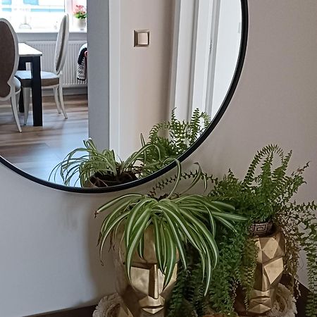 Apartamenty Holender House Choczewo Екстер'єр фото